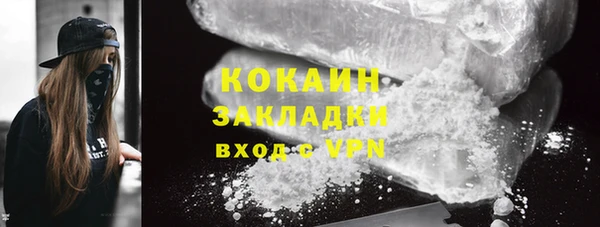 не бодяженный Бородино